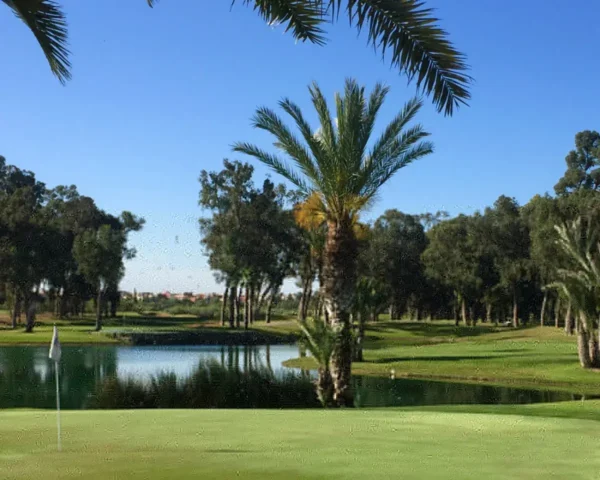 Golf between palm trees and waves