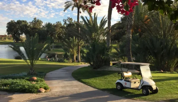 Golf between palm trees and waves