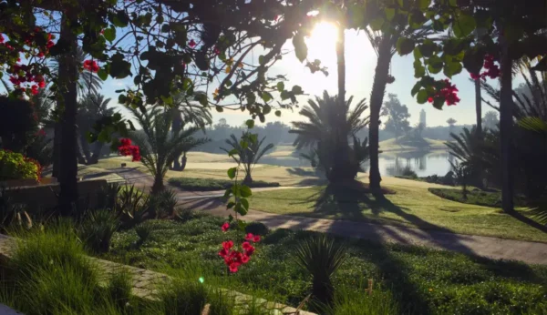 Golf between palm trees and waves