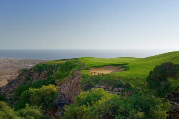 Golf between palm trees and waves