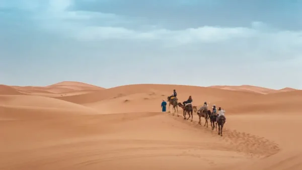 Great South and Kasbah in 4x4 vehicle