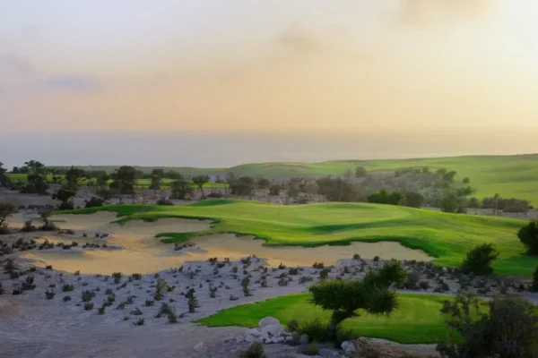 Golf entre palmiers et vagues