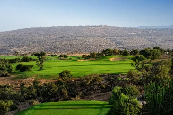 Golf entre palmiers et vagues