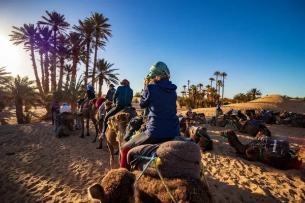 Villes impériale et Grand Sud à partir de Casablanca