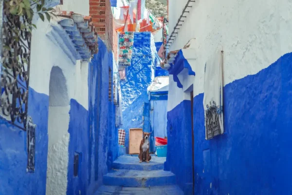 Villes impériales et la perle bleue du Maroc