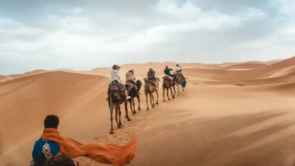 Grand Sud et Kasbah en véhicule 4x4