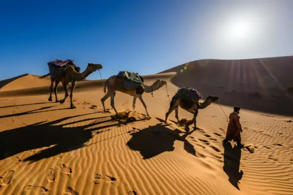 Villes impériale et Grand Sud à partir de Casablanca