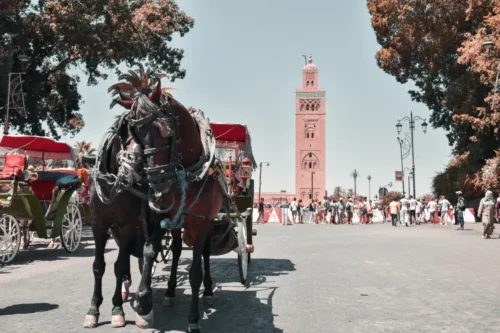 Imperial cities from casablanca