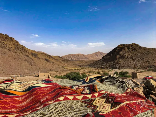 Grand Sud et Kasbah en véhicule 4x4