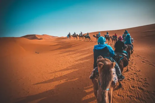 Grand Sud et Kasbah en véhicule 4x4